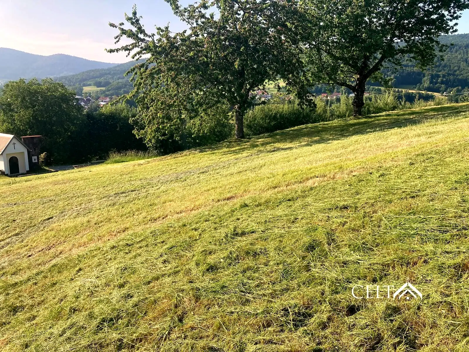 Grundstück in Hunding — Ansicht 2, 2.800 m²