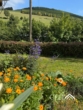Garten - Liebevoll renovierte Doppelhaushälfte im Grünen | 106 m² | Garten | Keller